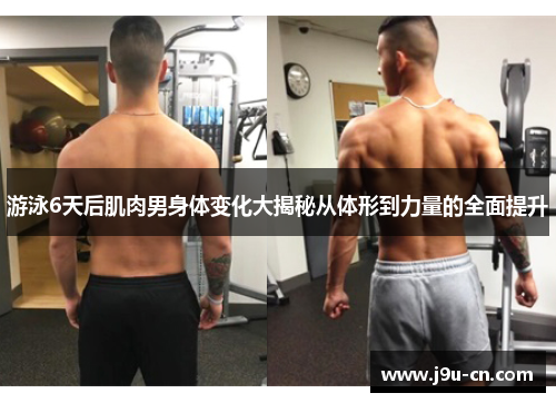 游泳6天后肌肉男身体变化大揭秘从体形到力量的全面提升